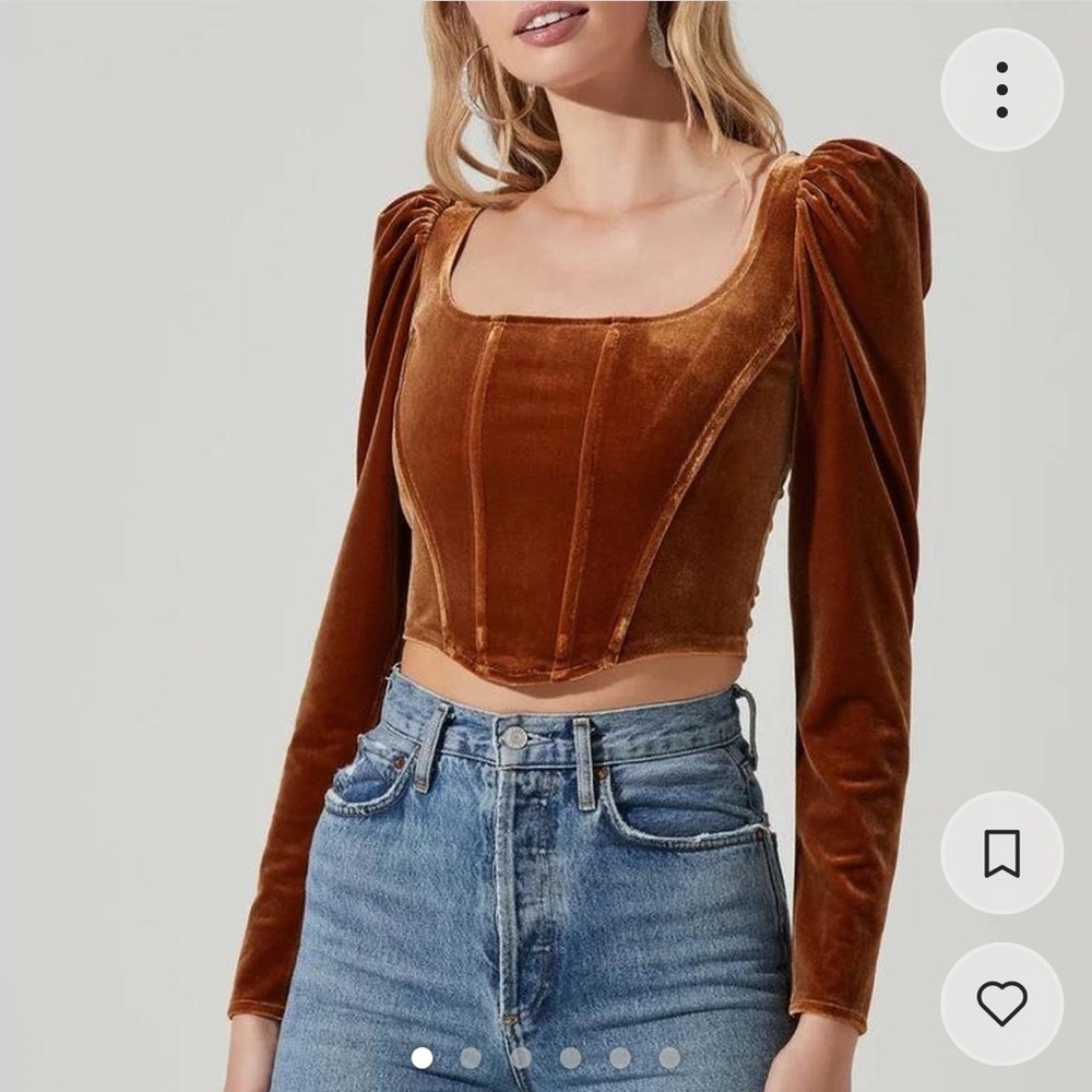 Astr Brown Fitted Velvet Puff Sleeve Blouse